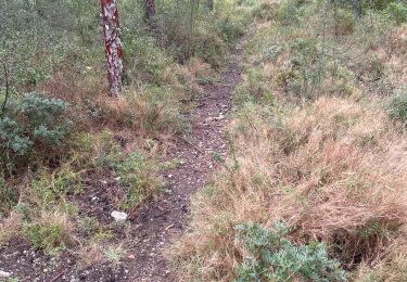 Trail sport Fabrègues - Ru la Madeleine piste croix blanche  - Photo