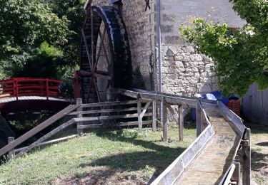 Percorso Marcia Vaudelnay - Vaudelnay - Photo