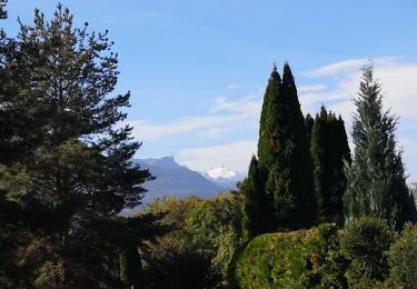 Excursión Marcha nórdica Arbaz - Grimisuat  - Photo