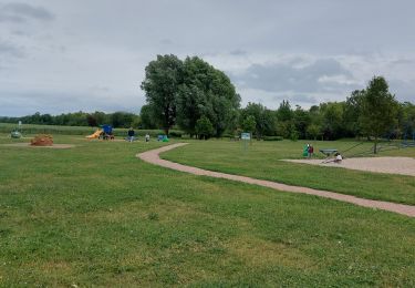 Tour Wandern Sotteville-sous-le-Val - 20250527 Sotteville sous le Val Igoville - Photo