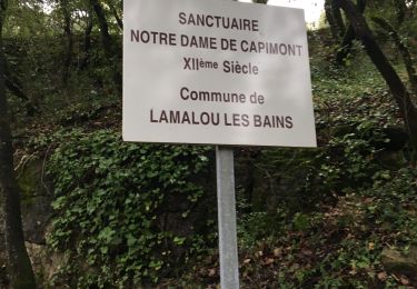 Excursión Senderismo Combes - Torteillan à La Chapelle St Anne  - Photo