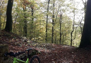 Excursión Bici de montaña Musson - Willancourt Montauban VTT AE - Photo