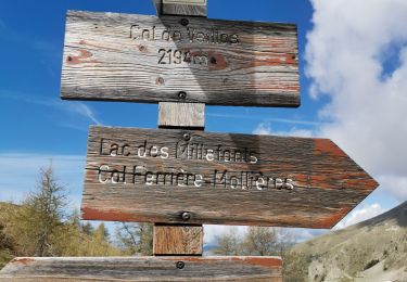 Trail Walking Valdeblore - Lacs des Millefonts  - Photo
