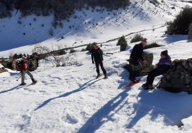 Randonnée Raquettes à neige Ancizan - Payolle Marche raquettes - Photo