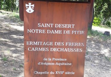 Trail Walking Roquebrune-sur-Argens - les hauts de Roquebrune sur Argens - Photo