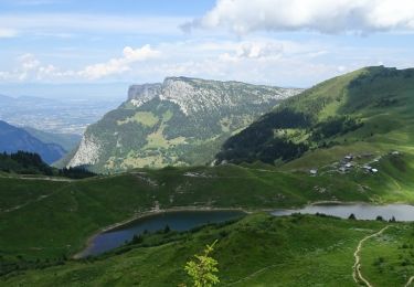 Tocht Stappen Glières-Val-de-Borne - Tour du lac de Lessy depuis Paradis  - Photo