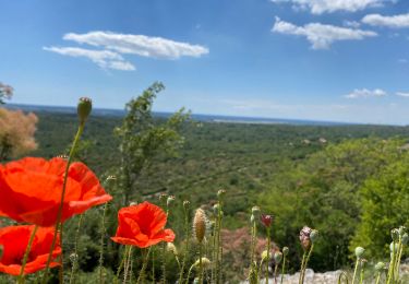 Tour Zu Fuß Doberdò del Lago / Doberdob - (SI A23) Centro visite Gradina - Malchina - Photo