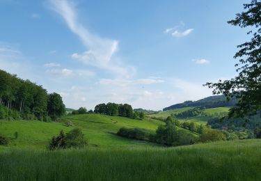 Tocht Te voet Seeheim-Jugenheim - Rundwanderweg Seeheim-Jugenheim Talhof 7: Kisselsgrund-Weg - Photo