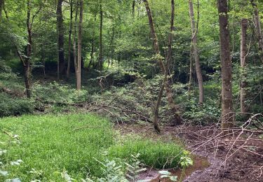Trail Walking Yvoir - Durnal 18 - Photo