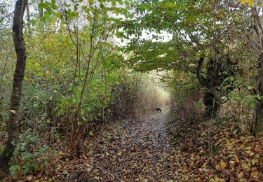Tour Wandern Nandrin - Nandrin - Photo