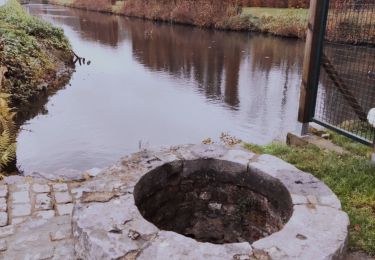 Excursión Senderismo Belœil - Promenade autour du Château De Beloeil  - Photo