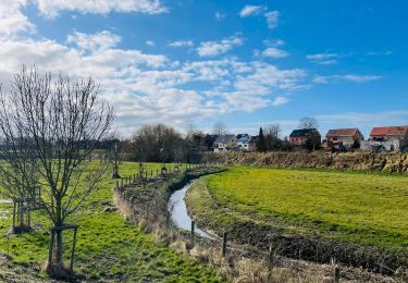 Tour Wandern Sint-Truiden - La vallée du ruisseau Cicindria à Saint-Trond (petite) - Photo