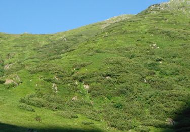 Trail On foot Unknown - Arpașu de Sus - V. Arpășelului - Muchia Buteanu - Photo