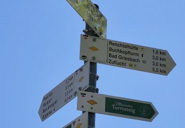 Tocht Te voet Oppenau - Oppenau - Zuflucht - Photo