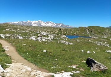 Trail Walking La Grave - Plateau d'Emparis - Photo