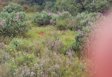 Trail Walking Saint-Cannat - touloubre. Paule. Parking sous pont TGV - Photo