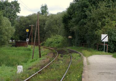 Randonnée A pied Dačice - NS Okolím Dačic - Photo