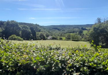 Randonnée Marche Tenneville - Marche ADEPS à Cens. 10km300 sur un bea parcours bien balisé. Beau dénivelé pour terminer. - Photo