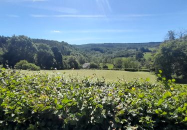 Trail Walking Tenneville - Marche ADEPS à Cens. 10km300 sur un bea parcours bien balisé. Beau dénivelé pour terminer. - Photo