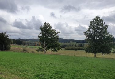 Tocht Stappen Martelange - rando vlessart 13/10/2020 - Photo