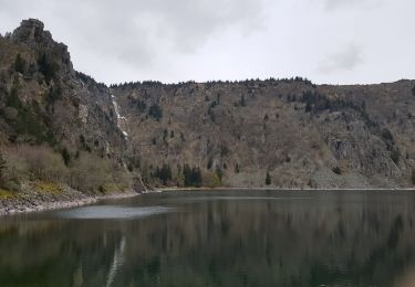 Tour Auto Türkheim - les crètes des Vosges - Photo