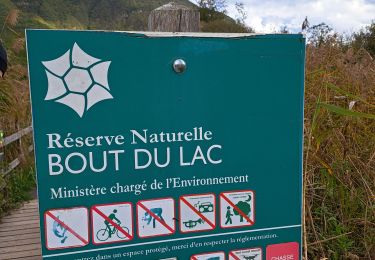 Percorso Marcia Doussard - Réserve du bout du lac - Photo