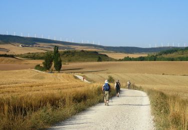 Trail Walking Pamplona - Camino Francés - Etp4 - Pamplona - Puente la Reina - Photo