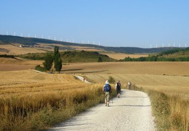 Randonnée Marche Pampelune - CC_Frances_AD_04_Pampelune_Puente-Reina_20090820 - Photo