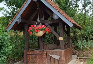 Trail Walking Montgueux - La Rotarienne  - Photo