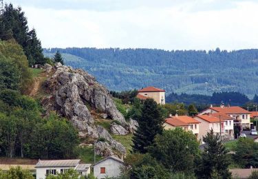 Tocht Stappen Saint-Rémy-sur-Durolle - St_Remy_Decouverte - Photo