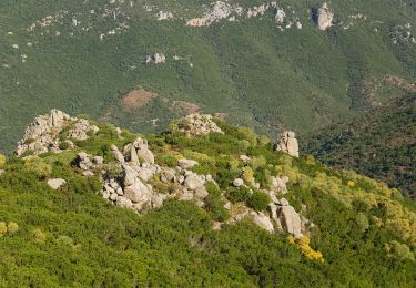 Percorso A piedi Dorgali - Sa Portiscra-Cala Luna - Photo