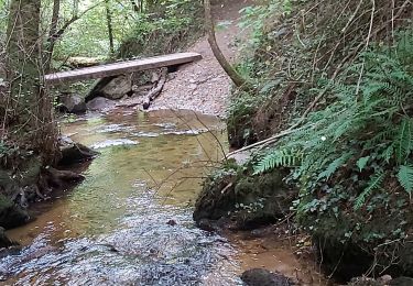 Excursión Senderismo Châtel-Guyon - cascade de l'écureuil ,vallée du sans soucis, château de Chazeron  - Photo
