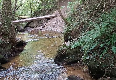 Randonnée Marche Châtel-Guyon - cascade de l'écureuil ,vallée du sans soucis, château de Chazeron  - Photo