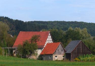 Excursión A pie Ebermannstadt - Planetenweg Feuerstein - Photo