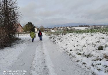 Percorso Marcia Heimsbrunn - heimsbrunn - Photo