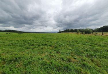 Tour Wandern Beauraing - rando sevry  26/08/2021 - Photo