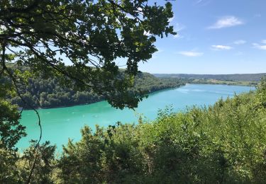 Randonnée Marche Doucier - Tour du lac chalain  - Photo