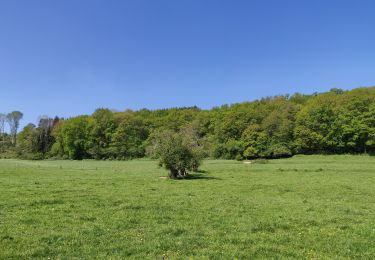 Trail Hybrid bike Durbuy - Chemin touristique Barvaux-Durbuy - Photo