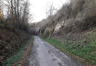 Trail Walking Mettet - Biesmeree 241120 - Photo