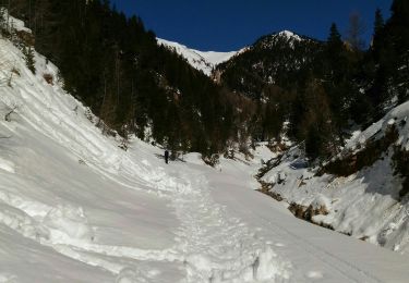 Excursión Raquetas de nieve Névache - Du gîte Les Mélèzets au col des Thures - Photo