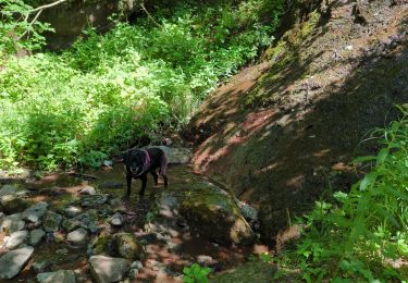 Trail Walking Beuil - balcon sur les gorges du cians - Photo