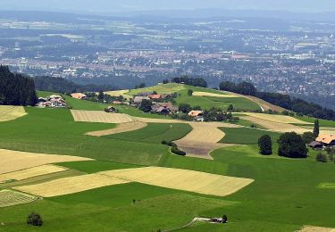 Trail On foot Wald (BE) - Englisberg - Hofmatt - Photo