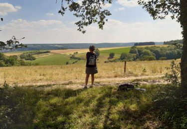 Tocht Stappen Bennecourt - Rando Temps des Cerises - Photo