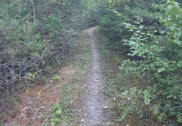 Tour Wandern Saint-André-d'Embrun - Boucle lac de Siguret et Chapelle Saint Roch - Photo