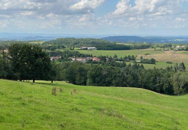 Trail Walking Trézioux - La ronde des Grüns de Trézioux - Photo