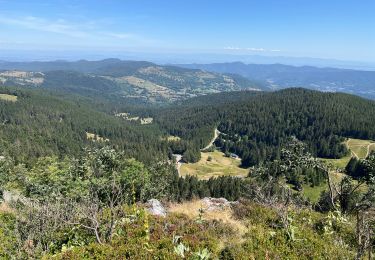 Tour Wandern Sulzern - Tanet-Gazon du Fain-Tanet - Photo