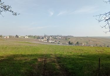 Trail Walking Congy - Congy du 09/04/2023 - Photo