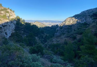 Tocht Stappen Marseille - 3 fait 2022 Marseille la Cayolle - Photo