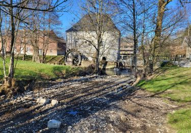 Tocht Stappen Hotton - Hotton 180225 - Photo