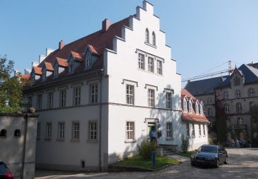 Trail On foot Naumburg (Saale) - Bismarckturm Weg - Photo